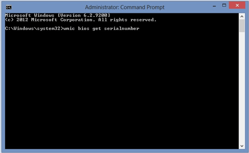 Windows Command Line Interface, Type